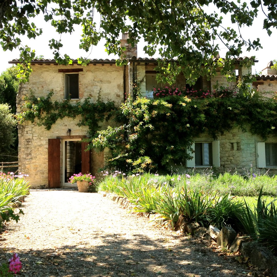 Pool View of Todi